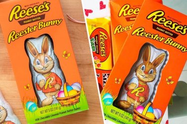 reeses-reester-bunny-U-1200x800.jpg