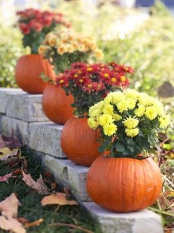 awesome-outdoor-fall-wedding-decor-ideas-32.jpg