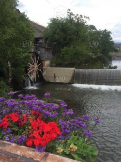 -water--flowing-.jpg
