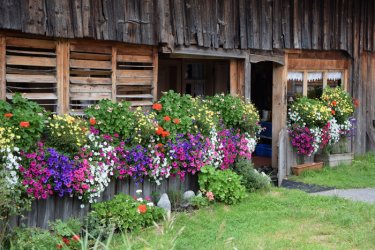 Log-Cabin-Garden-.jpg