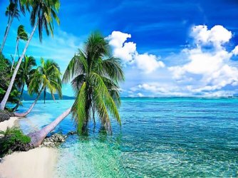 summer-tropical-beach-with-palmi-backgrounds.jpg