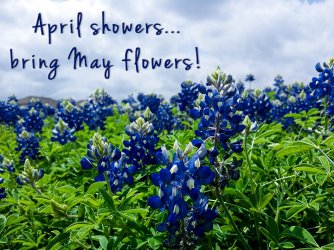 AprilShowers.jpg