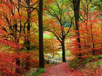 Autumn-in-Grasmere-Lake-District-85a68be.jpg