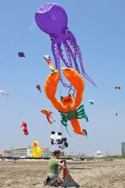 5b05c35abbc43.image.jpg
