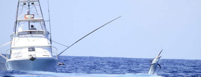 open-ocean-and-deep-sea-fishing-tips-for-beginners.jpg