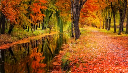 lakelovers-autumn.jpg