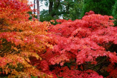 DSC07115_0.jpg