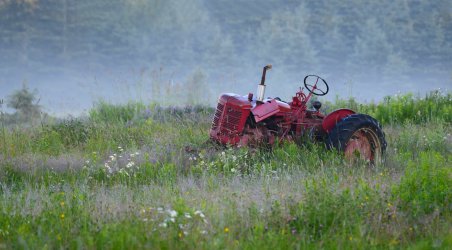 tractor in spring.jpg