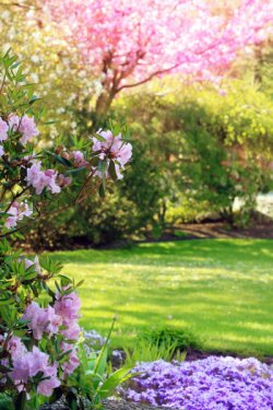 depositphotos_11105194-stock-photo-park-in-springtime.jpg