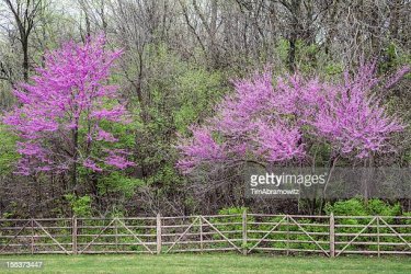 gettyimages-155373447-612x612.jpg