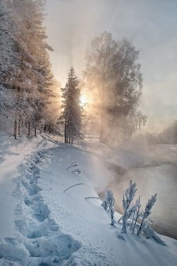 30837013f8226464264274f0952f4c33.jpg