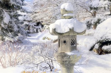 sun-snow-397.jpg