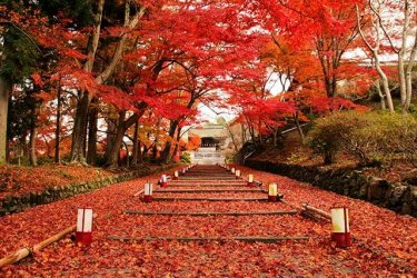 bishamon-do-temple-kyoto-bishamon-do-temple_adobestock_90550934.jpg