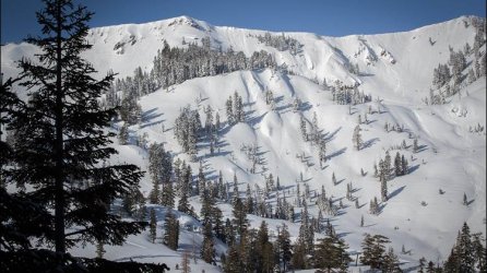 2019-02-11-am-alpinemeadowsscenic-0003-dng.ashx.jpg