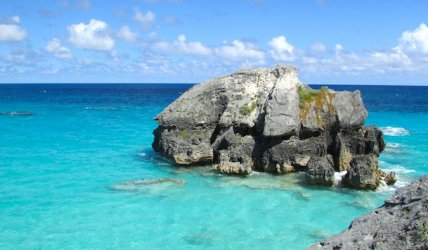 bermuda4.jpg