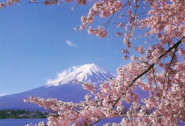 spring-in-japan.jpg