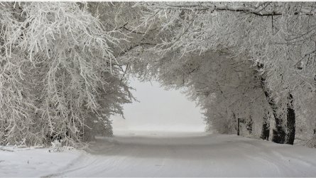 winter-background-hd-1080p-250791.jpg