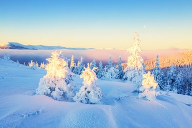 shutterstock_330094100-e1538149486170.jpg