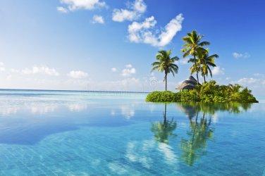 tropical-paradise-4934272.jpg