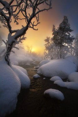 5b64b96ff36b9655e8adfc18e3ba2b3f.jpg