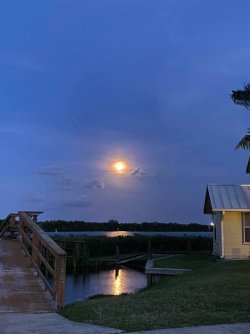 moon over brook.jpg