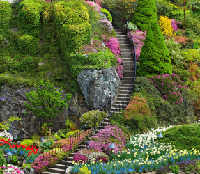 c96a916b2d64909d8add335a098ddaa4.png