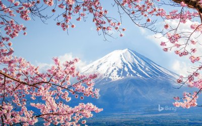 FujisanSakura_JA-JP3809885112.jpg