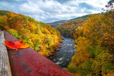 Kurt_Miller_High_Bridge_Ohiopyle_PA_smaller_52b86887-6bba-4be5-b829-c9f5f22a375e.jpg