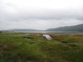 spring on the bay.jpg