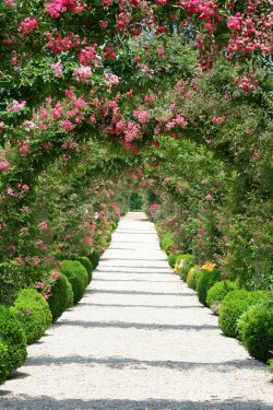 paisagem-do-jardim-de-rosas-2622431.jpg