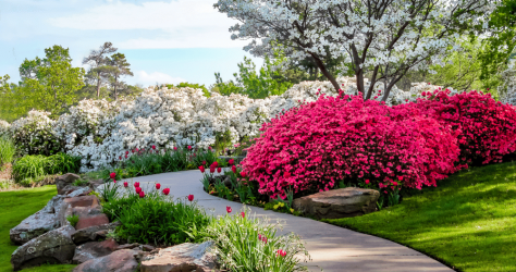 greenstreet_floweringshrubs_header.png