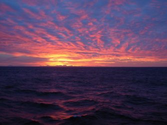 dscn3916.jpg