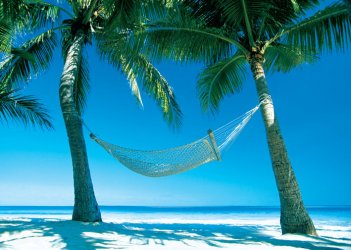 paradise-hammock-i8013.jpg