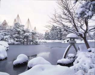 ConnectionsbyFinsa-jardines-keroku-en.jpg