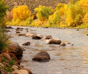 Animas_River_Durango_Fall_Colors_a1da51c7-67be-4646-a5a1-758a2152456a.jpg