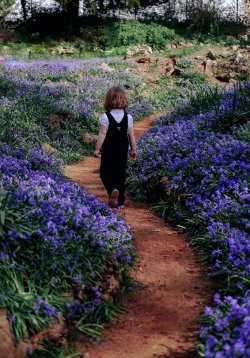Spring walk.jpg