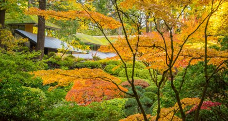 201710_FallColors-90-1504x800.jpg