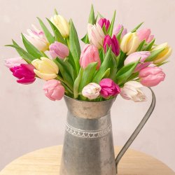 spring-tulips-1.jpg