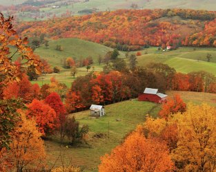 fall-foliage-in-virginia-kevin-shank-family.jpg