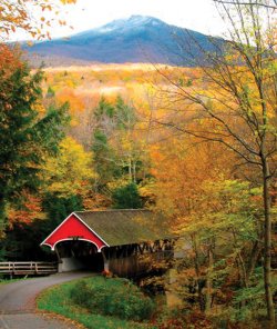 Flume-Bridge-background-Mount-Liberty-New-Hampshire.jpg