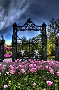 PublicGardens_Halifax_NS_Canada.jpg