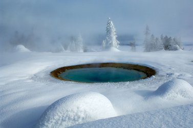 NPT-Package-184_naturestemplecontent1.jpg