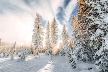 TSS_Yellowstone_winter_01-17-17-368-min-960x640.jpg