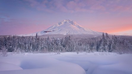 GettyImages-88391004-5a466521842b170037c3fe9e.jpg