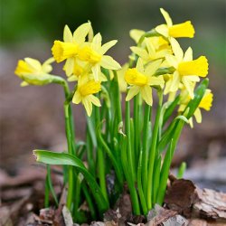 tete-a-tete-4.jpg