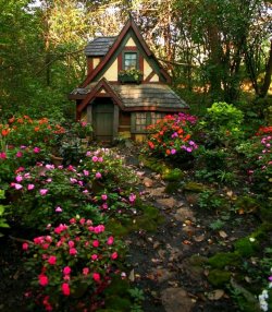 country home in spring.jpg