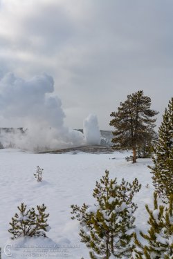 20191228_034.jpg