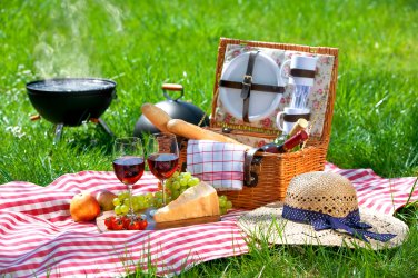 sjm-l-picnic-0611-02.jpg