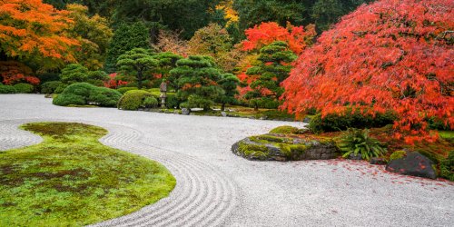 Fall-Colors-HD-20191022-by-Chris-Ruggles-33-1600x800.jpg