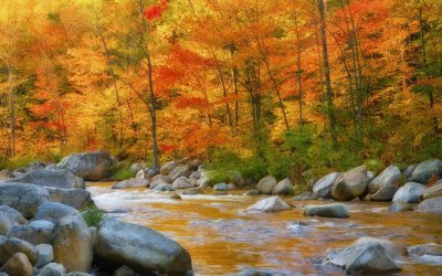 229-2295485_fall-season.jpg